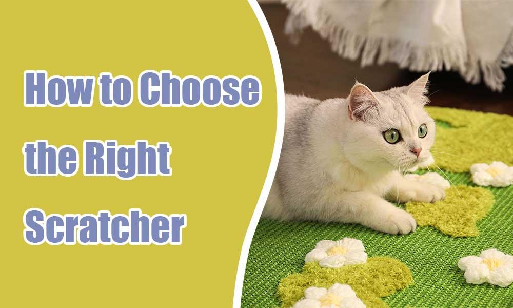 How to Choose the Right Scratching Post
