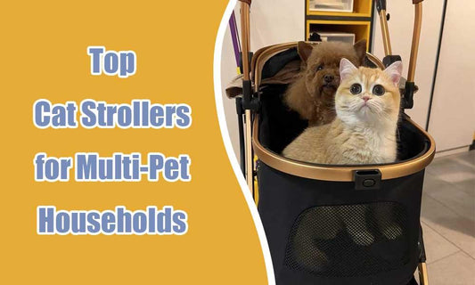 The Convenience of Cat Pram for Multi-Pet Households - MEWCATS