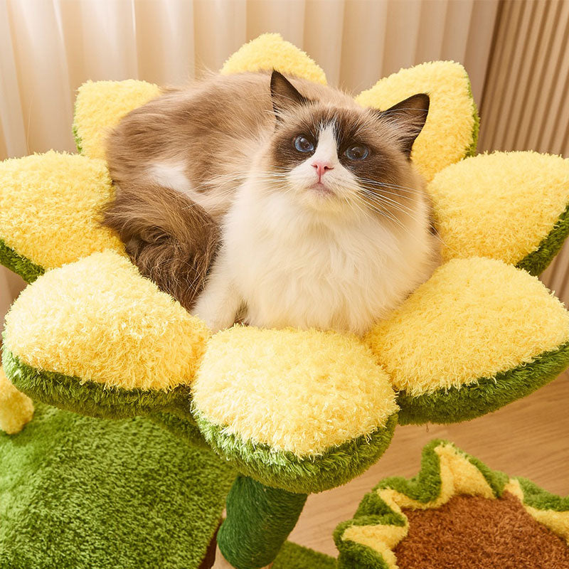 Blossom Sunflower Cat Tree Climbing Tower