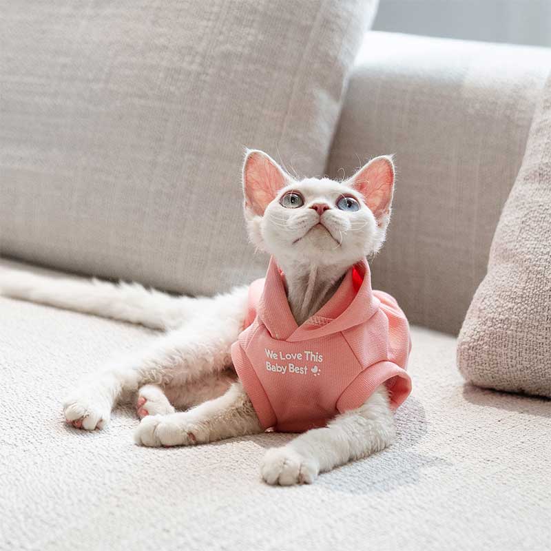 Cat Clothes Sphynx Hairless Cat Hoodie
