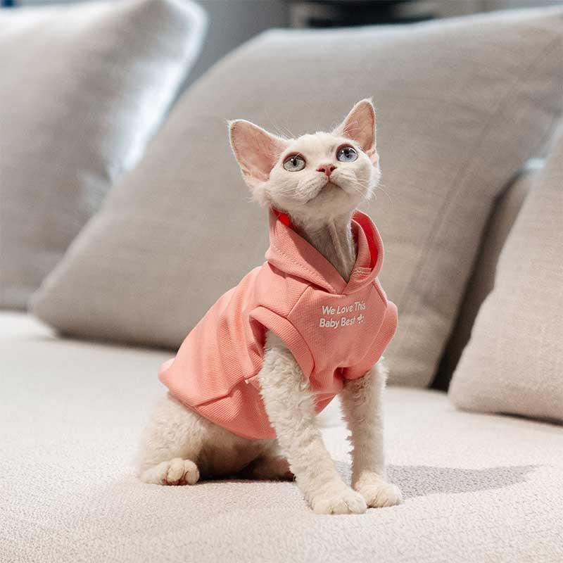 Cat Clothes Sphynx Hairless Cat Hoodie