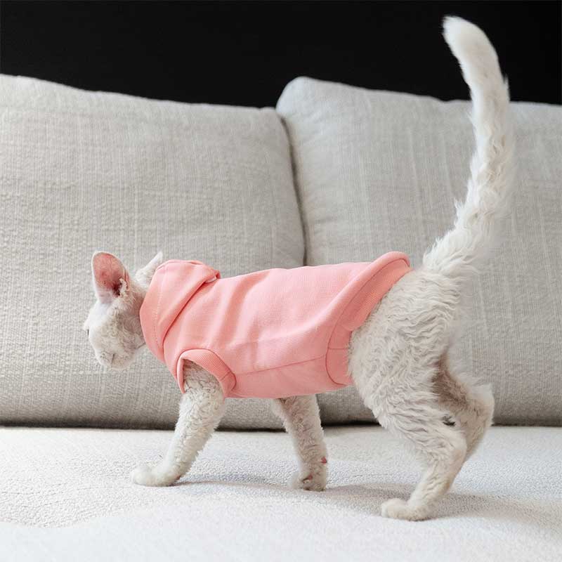 Cat Clothes Sphynx Hairless Cat Hoodie