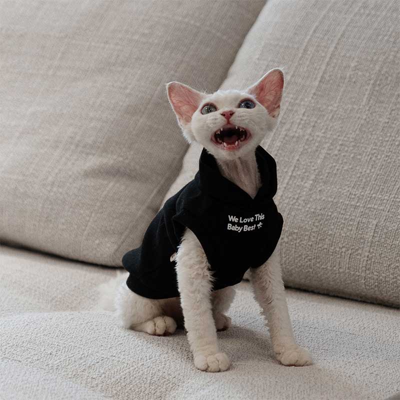 Cat Clothes Sphynx Hairless Cat Hoodie