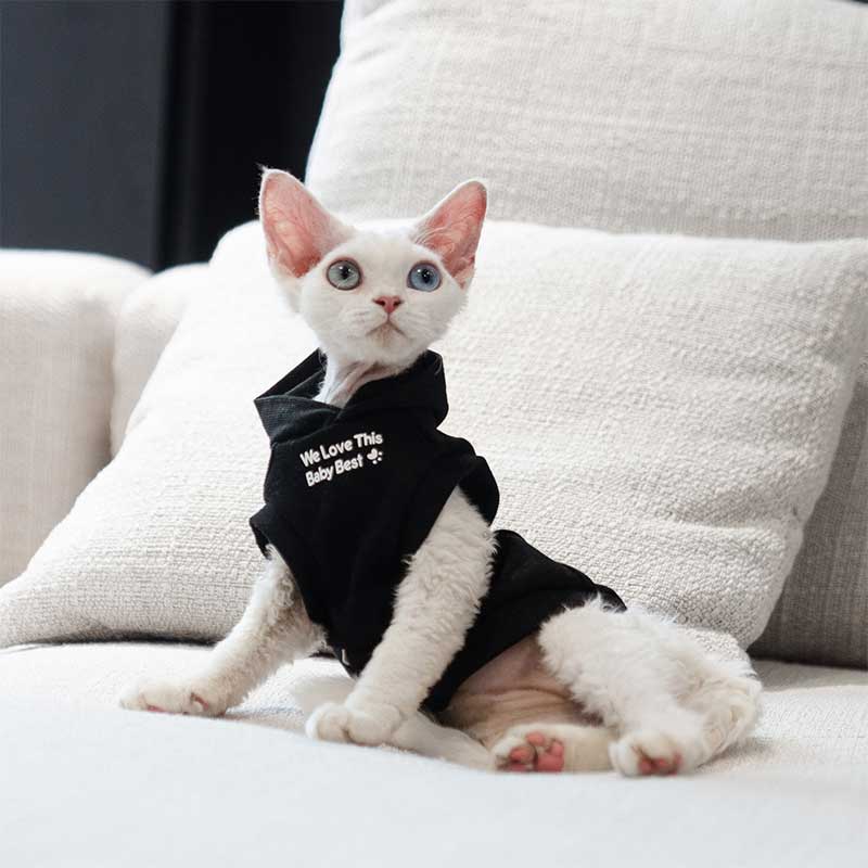 Cat Clothes Sphynx Hairless Cat Hoodie