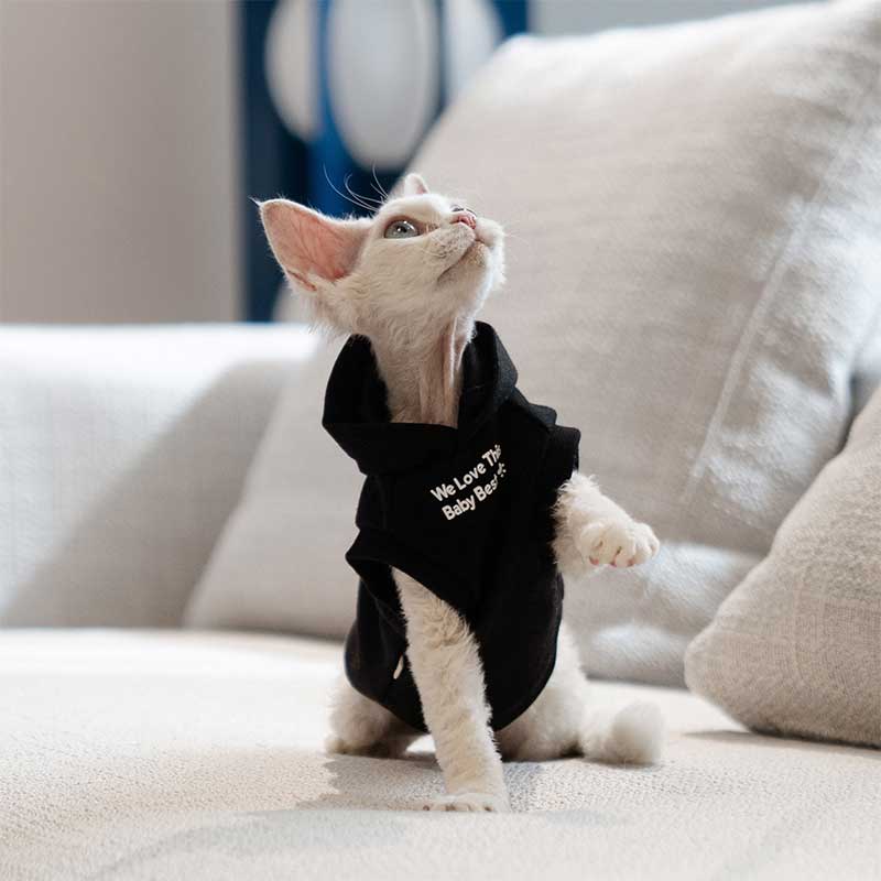 Cat Clothes Sphynx Hairless Cat Hoodie