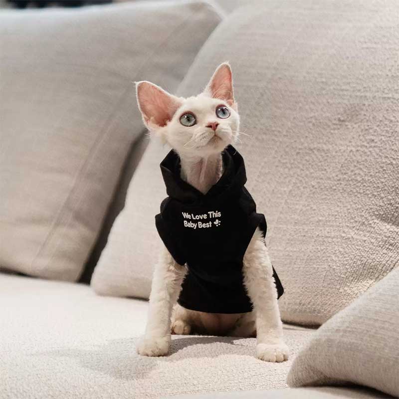 Cat Clothes Sphynx Hairless Cat Hoodie