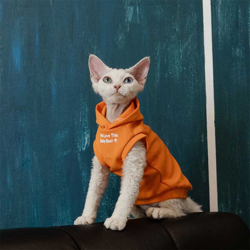 Cat Clothes Sphynx Hairless Cat Hoodie