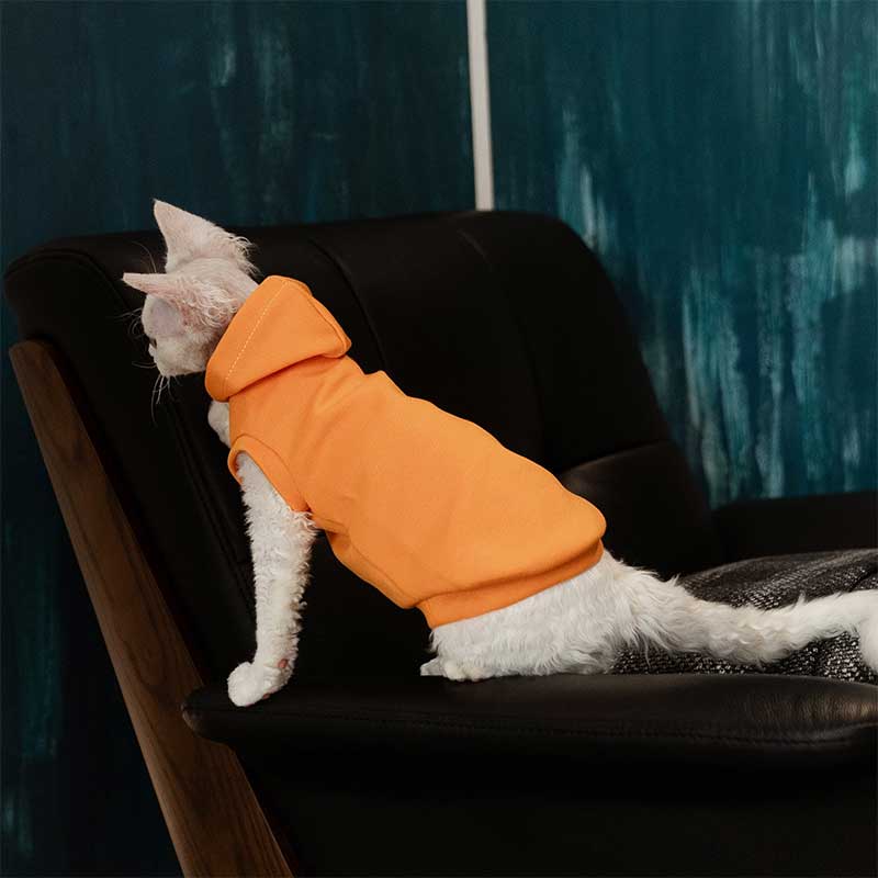 Cat Clothes Sphynx Hairless Cat Hoodie