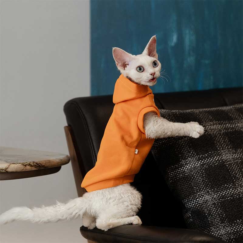 Cat Clothes Sphynx Hairless Cat Hoodie