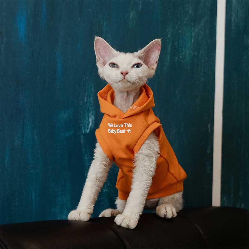 Cat Clothes Sphynx Hairless Cat Hoodie