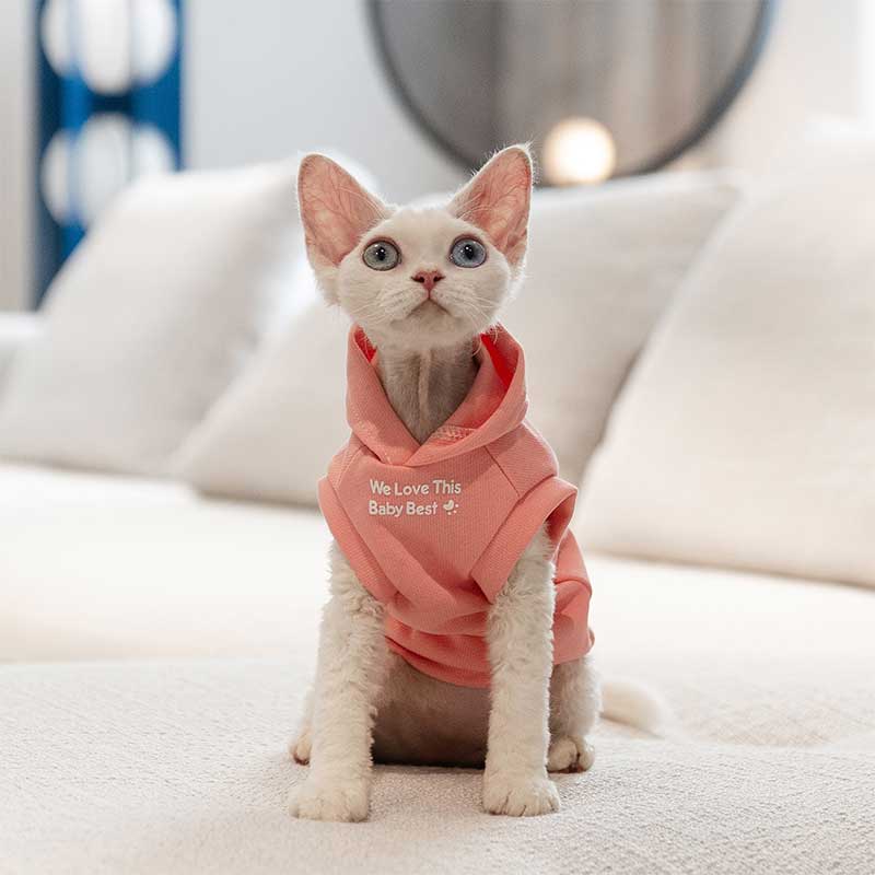 Cat Clothes Sphynx Hairless Cat Hoodie