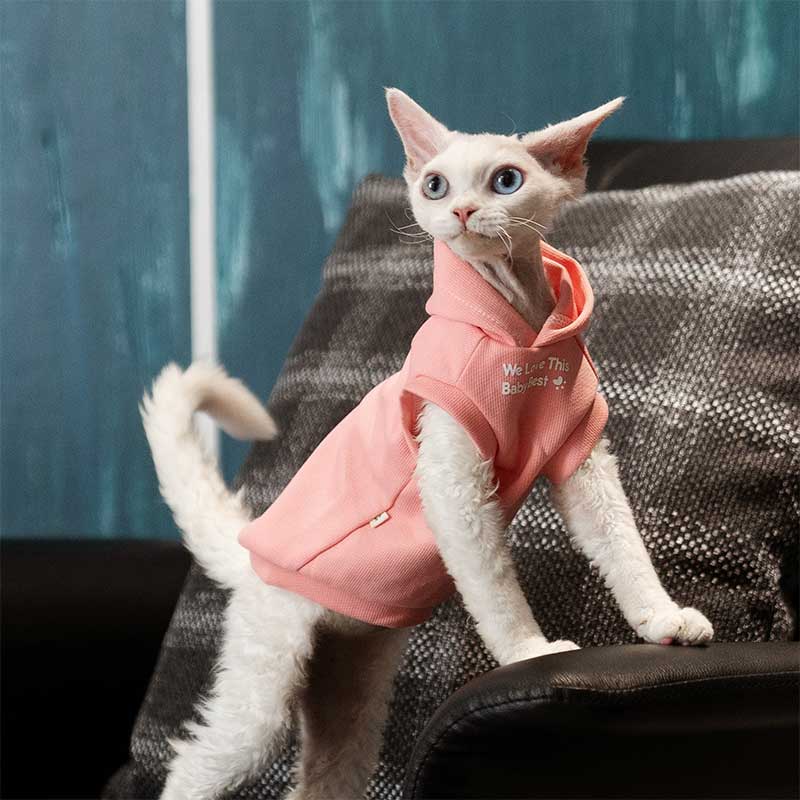 Cat Clothes Sphynx Hairless Cat Hoodie