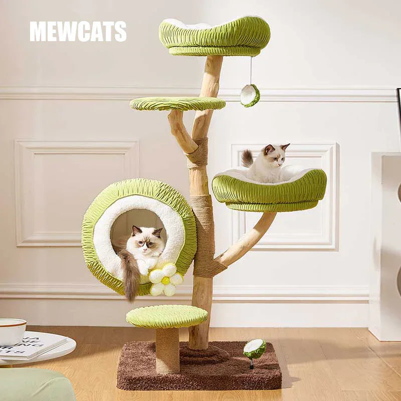 展示のみ美品 STAMMBAUM CORDURY キャプ　ナチュラル Coconut Grove Solid Wood Cat Climbing Tree – MEWCATS