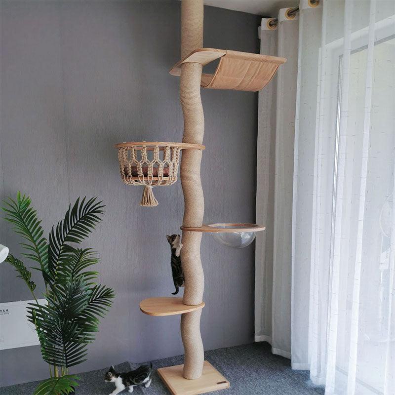 Curved Wood Floor to Ceiling Cat Climbing Tree