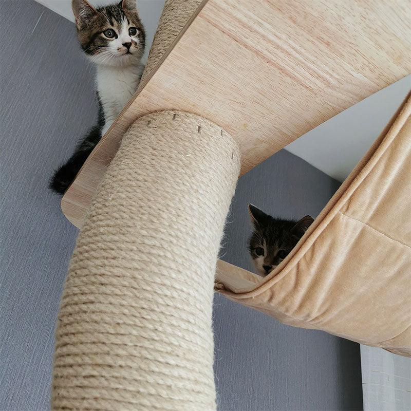 Curved Wood Floor to Ceiling Cat Climbing Tree
