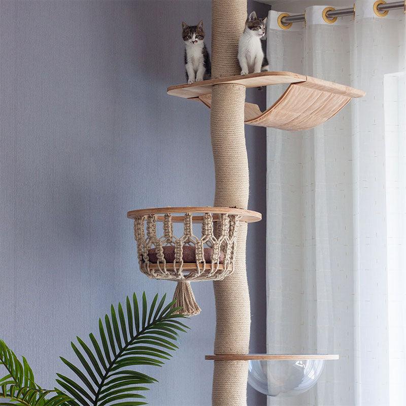 Curved Wood Floor to Ceiling Cat Climbing Tree