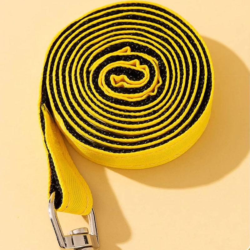 Cute Bee Cat Leash Harness Escape Proof