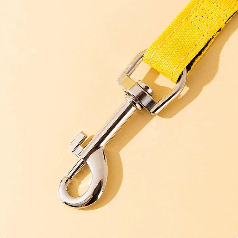 Cute Bee Cat Leash Harness Escape Proof