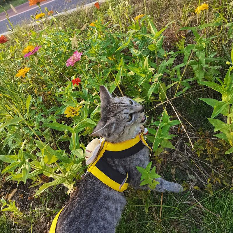 Cute Bee Cat Leash Harness Escape Proof
