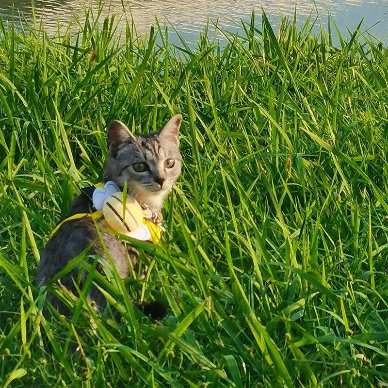 Cute Bee Cat Leash Harness Escape Proof