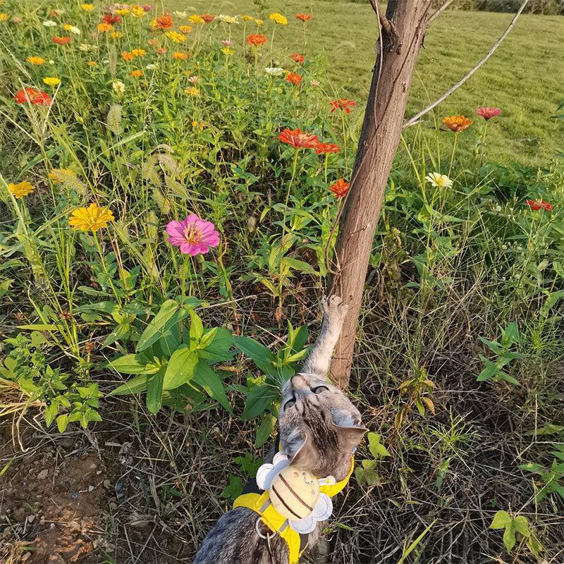 Cute Bee Cat Leash Harness Escape Proof