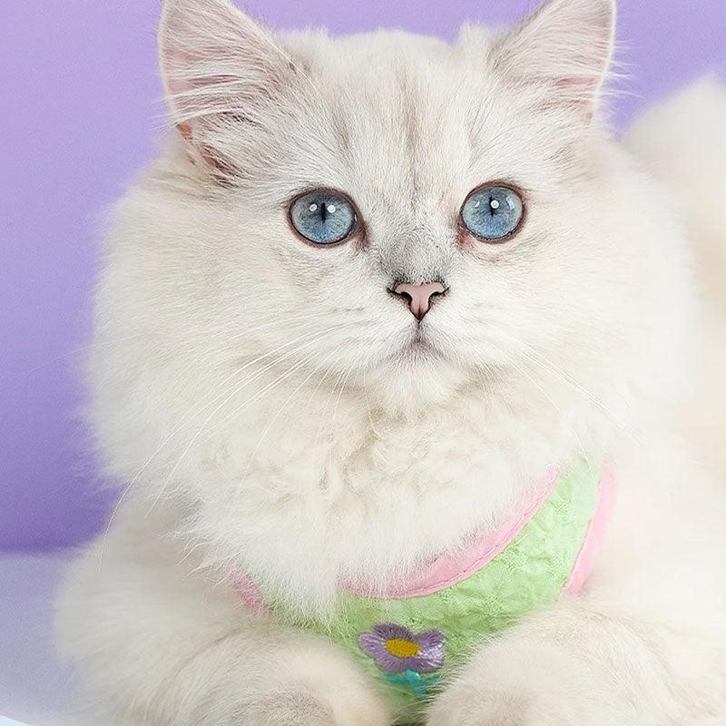 Embroidered Floral Cat Leash Harness Lead