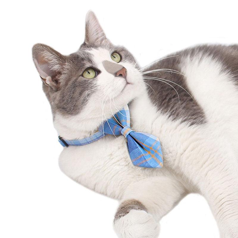 JK Bow Tie Cat Collar Set