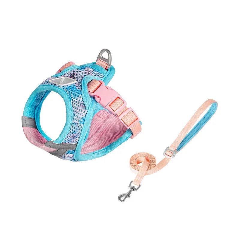 Jelly Colorblock Cat Harness