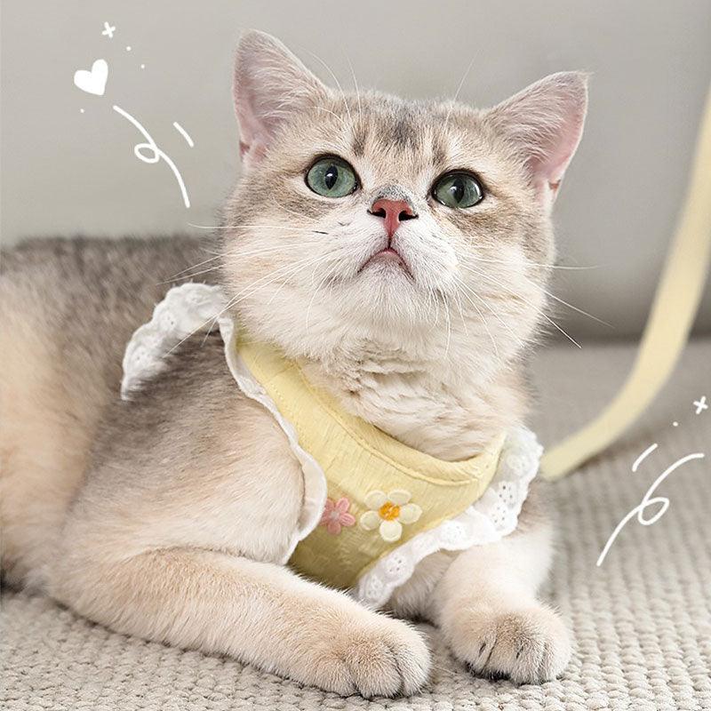 Lace Sleeve Cat Leash Cute Harness