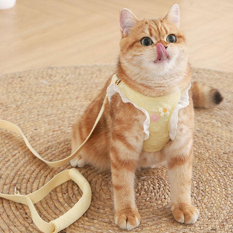 Lace Sleeve Cat Leash Cute Harness