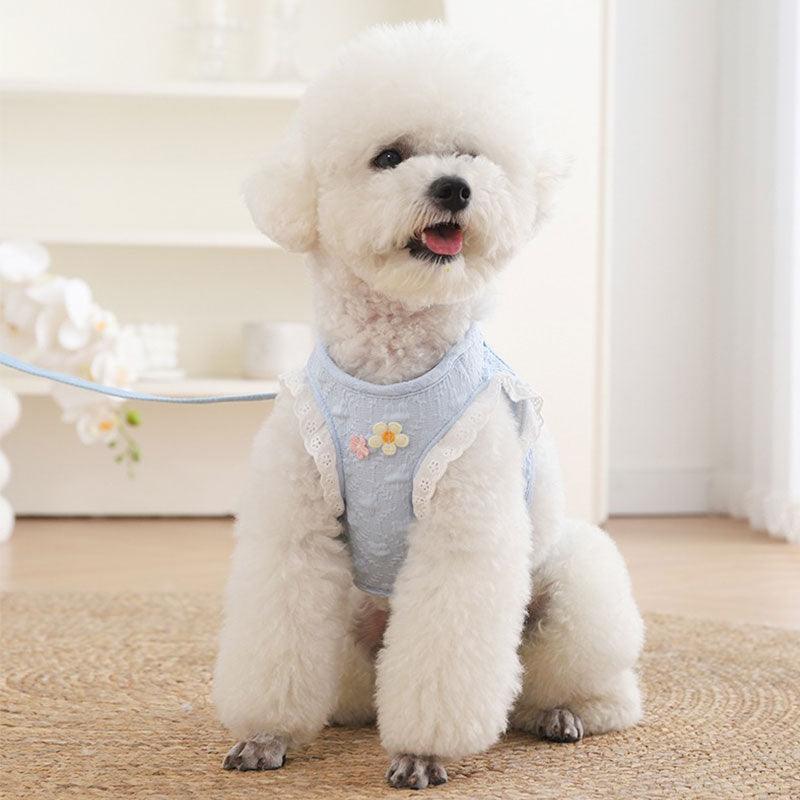 Lace Sleeve Cat Leash Cute Harness
