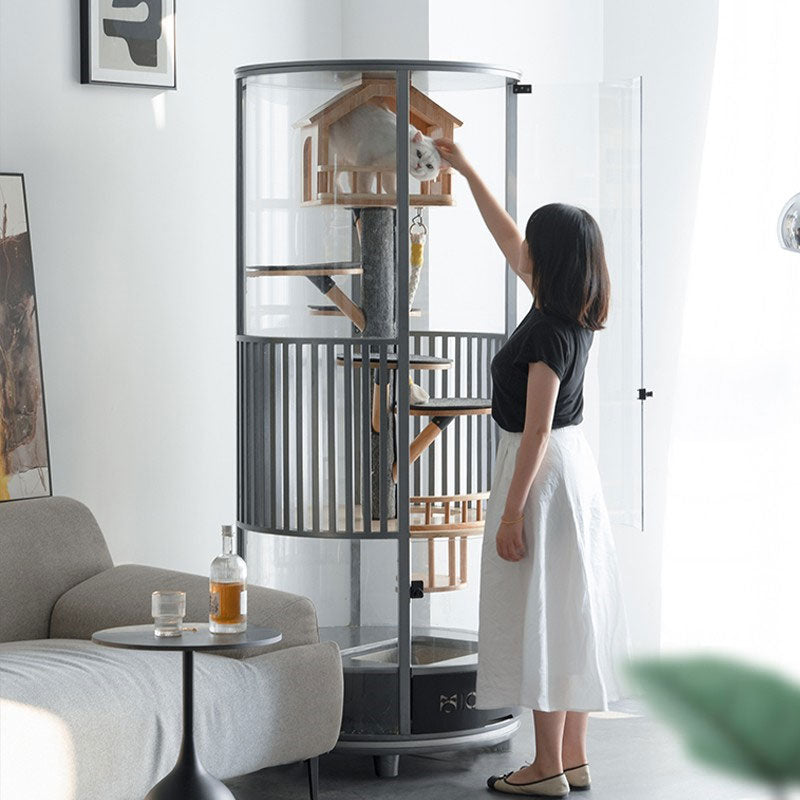 Luxury Panoramic Treehouse Glass Cat Villa