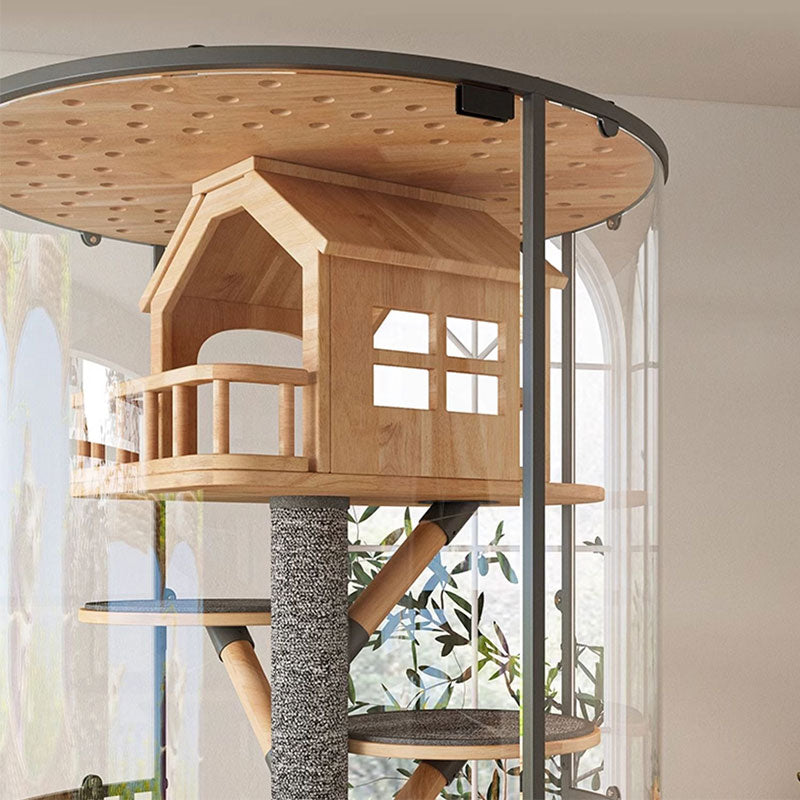 Luxury Panoramic Treehouse Glass Cat Villa