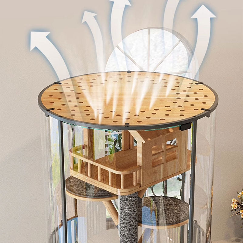 Luxury Panoramic Treehouse Glass Cat Villa