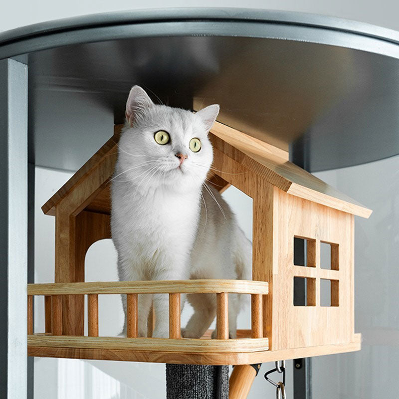 Luxury Panoramic Treehouse Glass Cat Villa