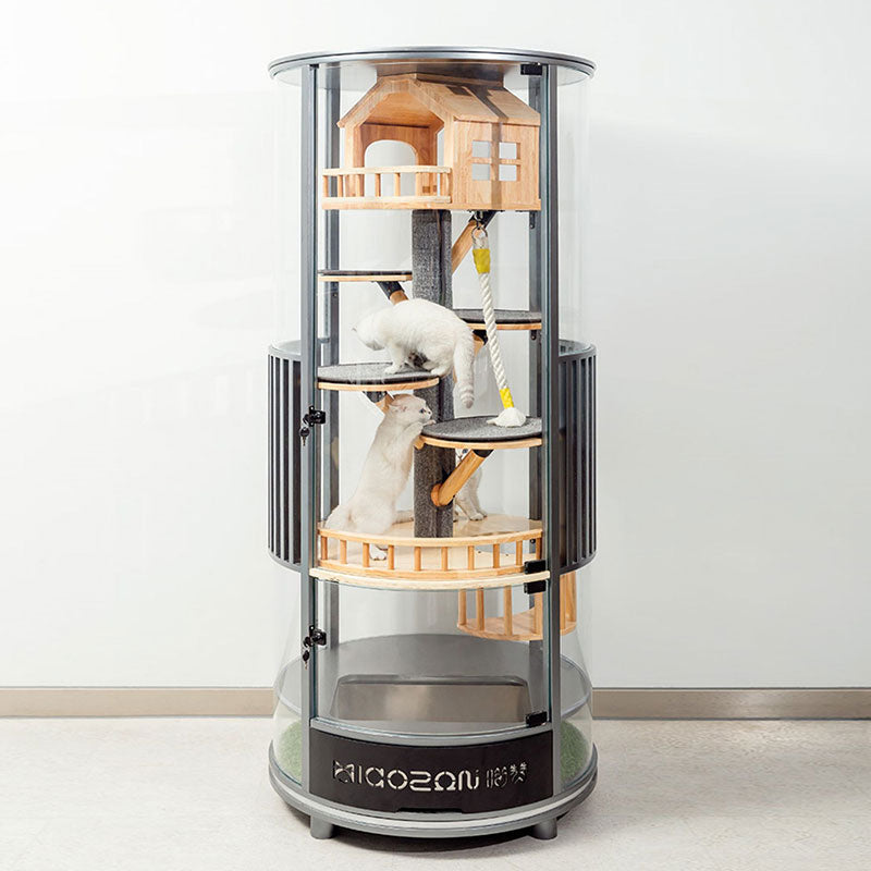 Luxury Panoramic Treehouse Glass Cat Villa