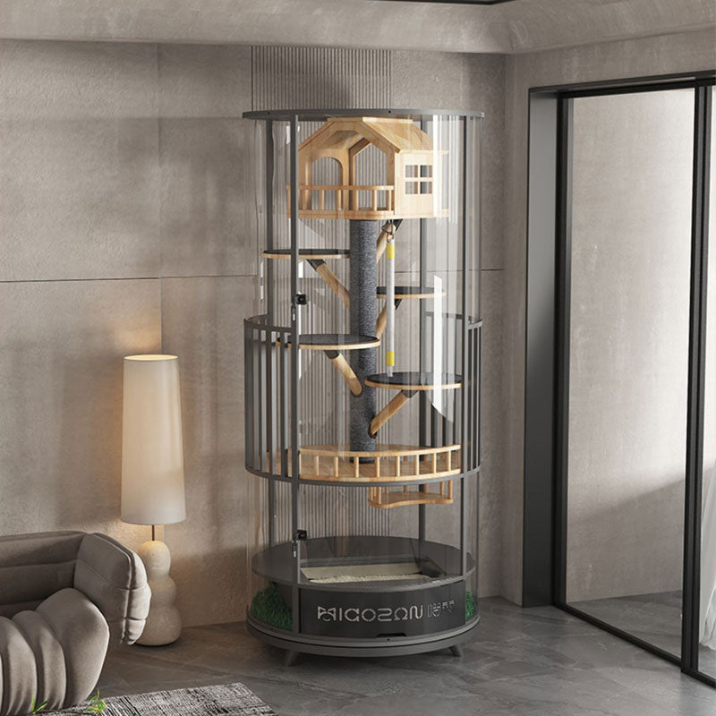 Luxury Panoramic Treehouse Glass Cat Villa