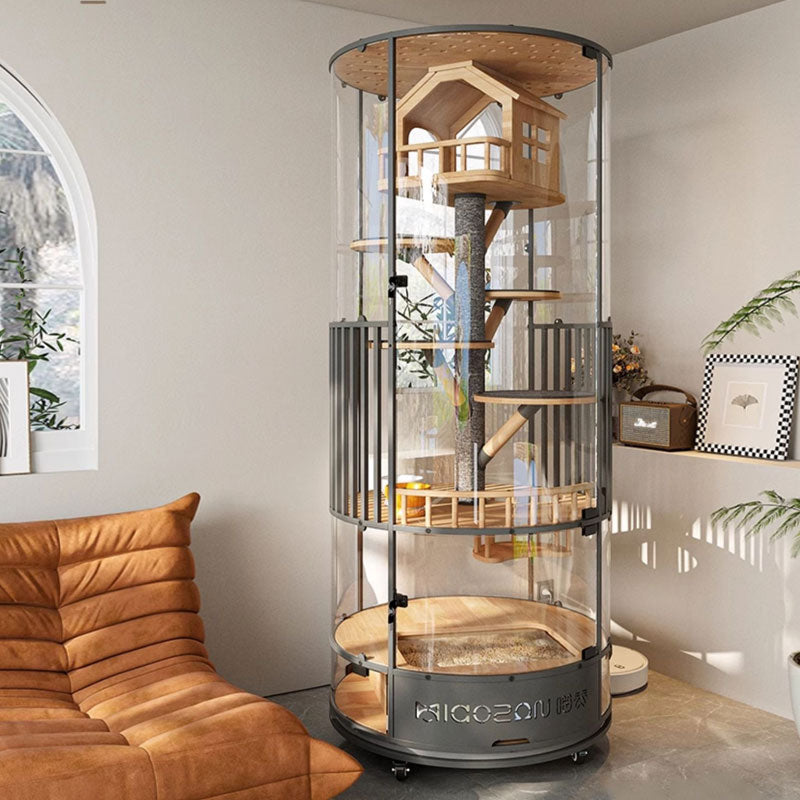 Luxury Panoramic Treehouse Glass Cat Villa