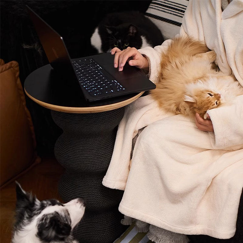 Modern Art Cat Scratching Table Furniture