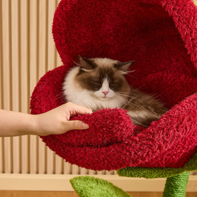 Monster Bloom Cat Tree Climbing Tower