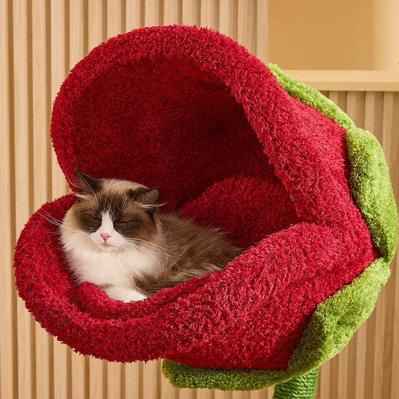 Monster Bloom Cat Tree Climbing Tower