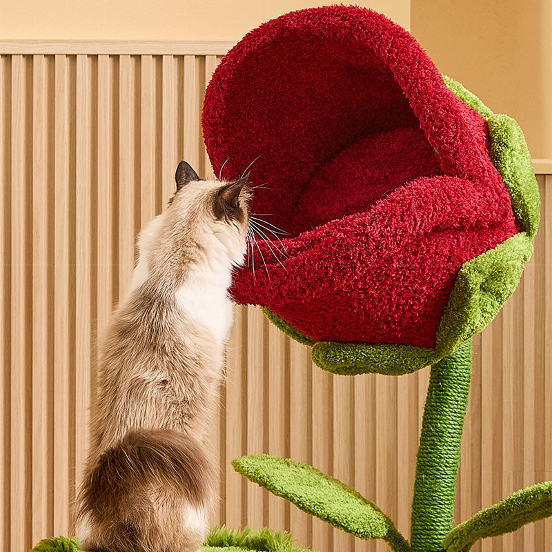 Monster Bloom Cat Tree Climbing Tower