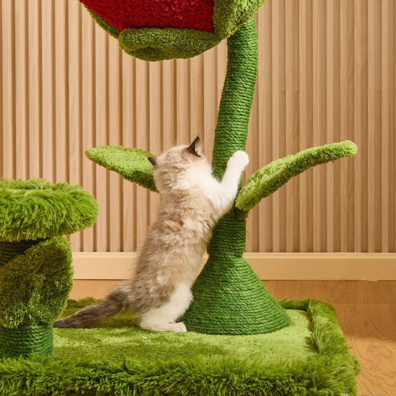 Monster Bloom Cat Tree Climbing Tower