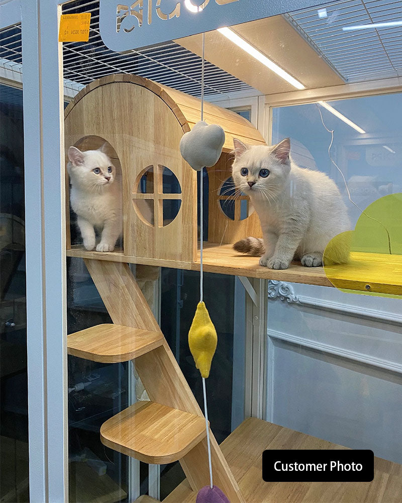 Moonlight Luxury Cat Villa