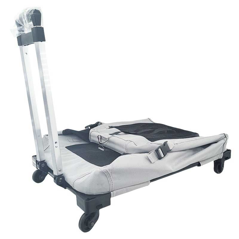 Roomy Car-Friendly Cat Carrier Tote Bag