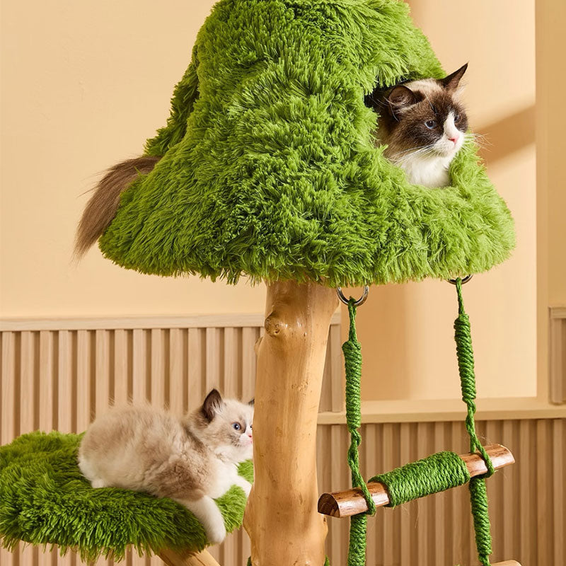 Sky Ladder Cloud Climber Cat Tree