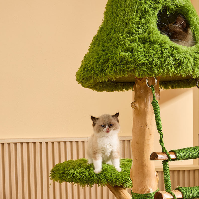 Sky Ladder Cloud Climber Cat Tree