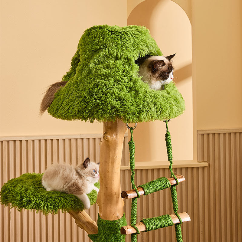 Sky Ladder Cloud Climber Cat Tree