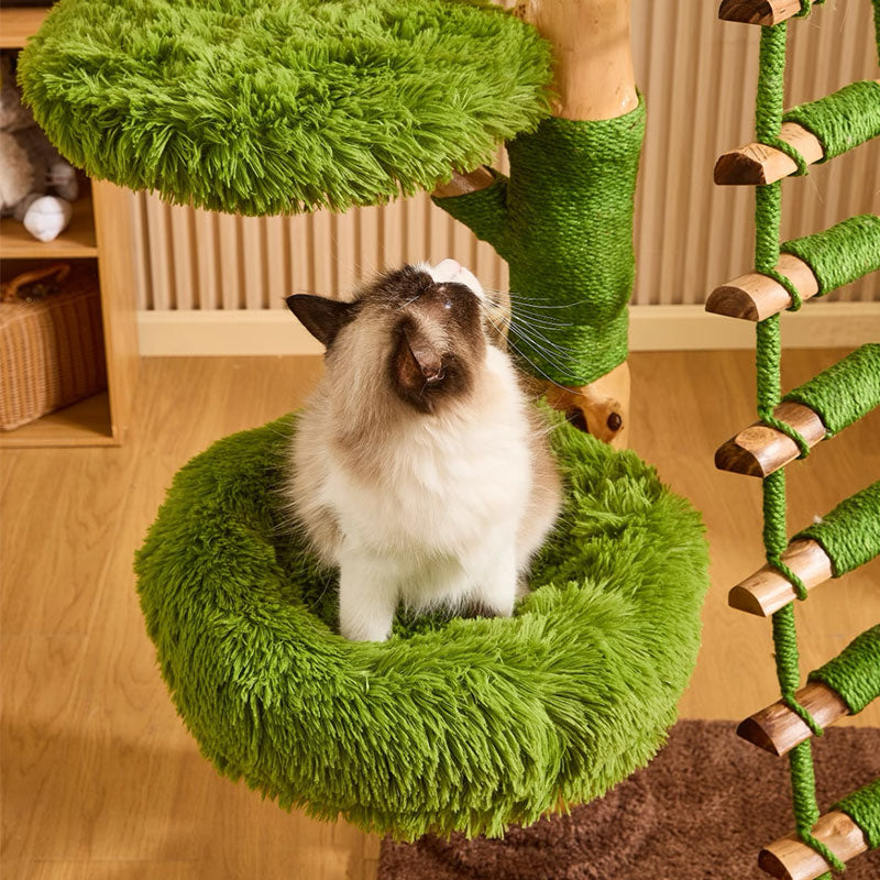 Sky Ladder Cloud Climber Cat Tree