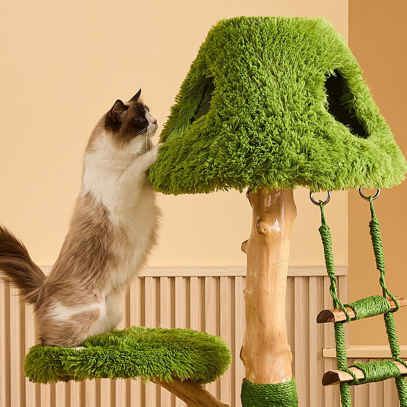 Sky Ladder Cloud Climber Cat Tree